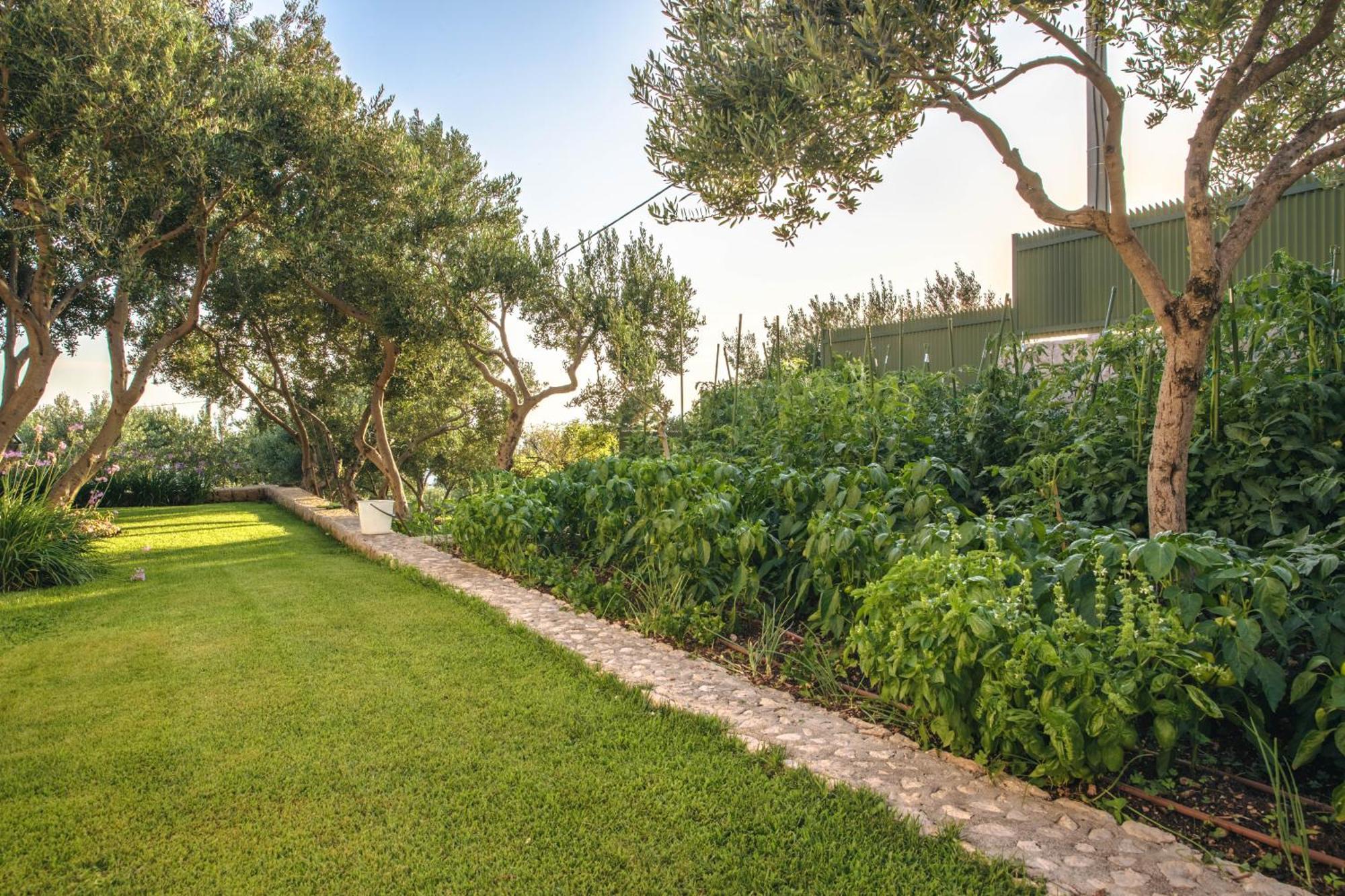 Villa Tamaris Makarska Dış mekan fotoğraf