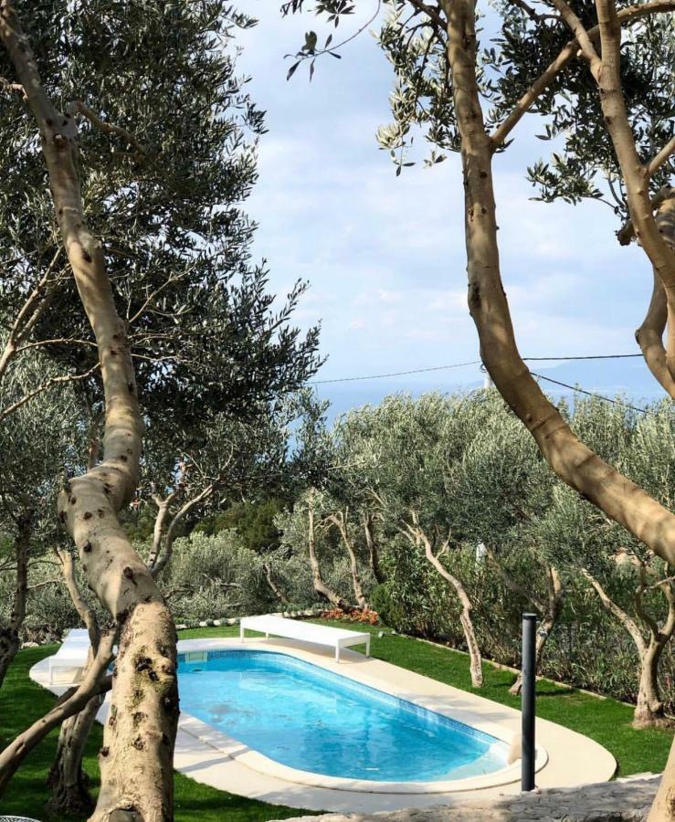 Villa Tamaris Makarska Dış mekan fotoğraf